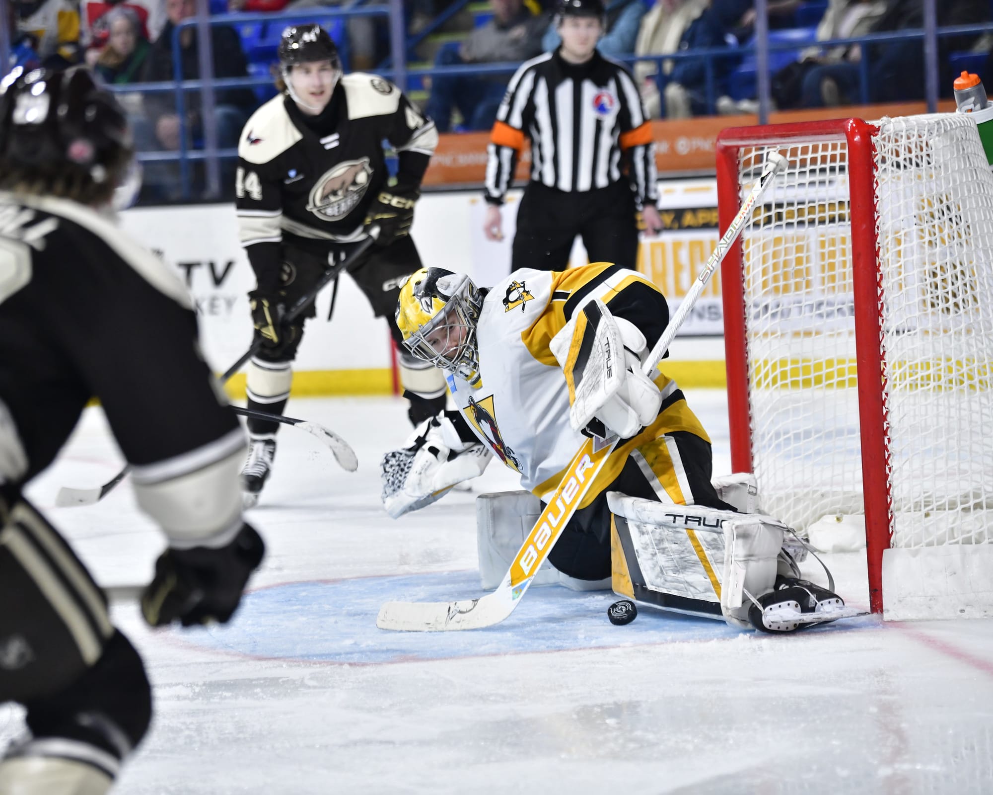 Game Story: Hershey - 1 at W-B/Scranton - 4 (2/4/26)