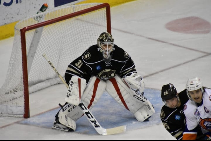 2019-20 Season Preview: Hershey Bears