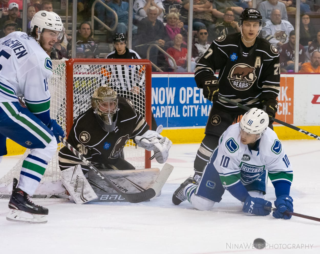 2019 AHL Free Agency: Hershey Bears Team Needs