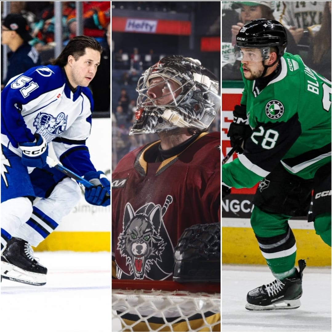 2025 AHL Free Agency 'The Big Board' Top 100 (Subscribers)