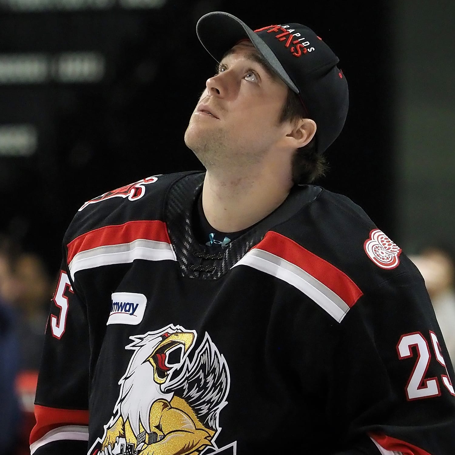 AHL Free Agent Tracker 2020: InsideAHLHockey.com's Big Board (Version 2.0)