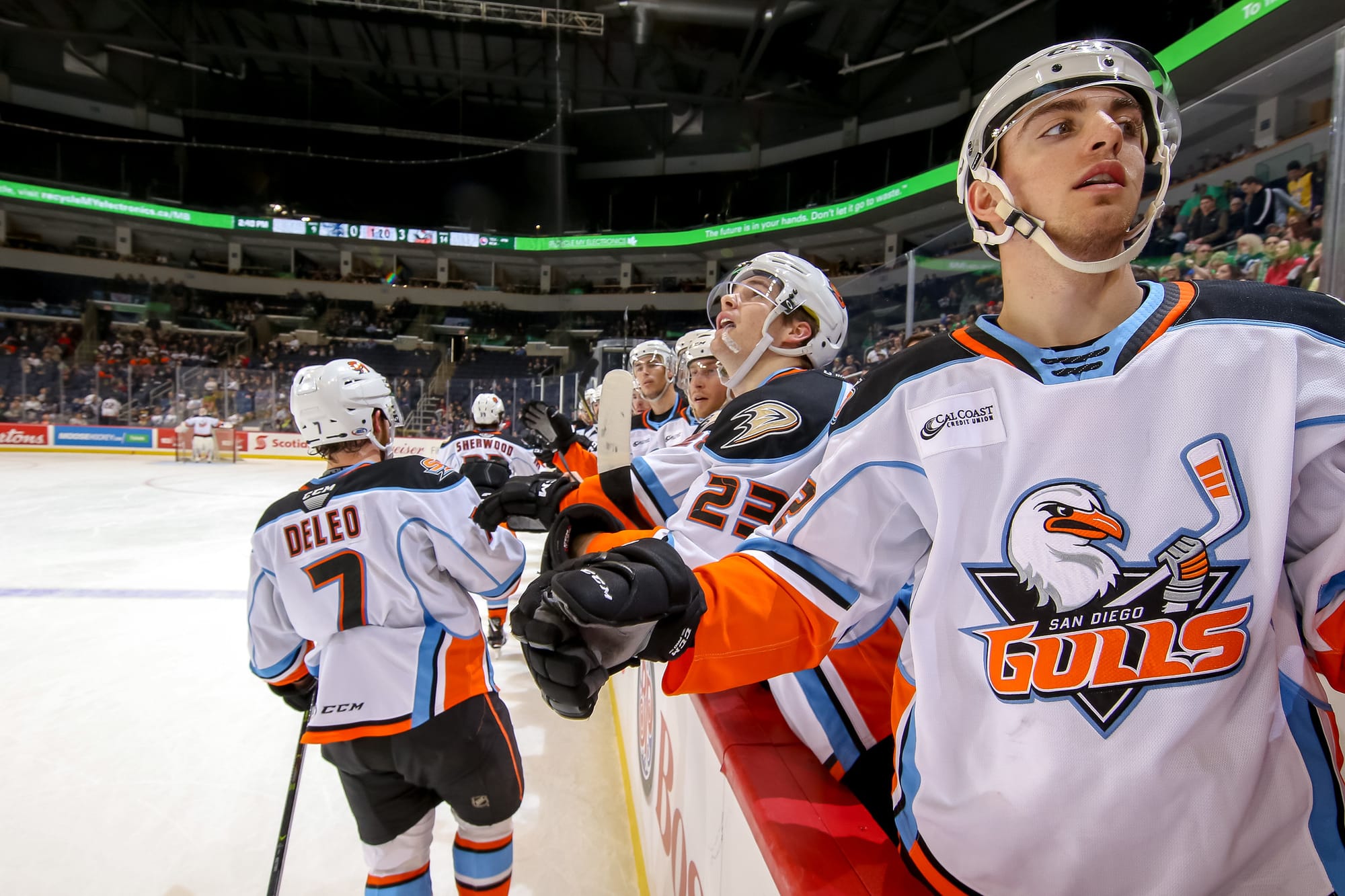 AHL Hockey Returns As San Diego, San Jose Kick Off Preseason