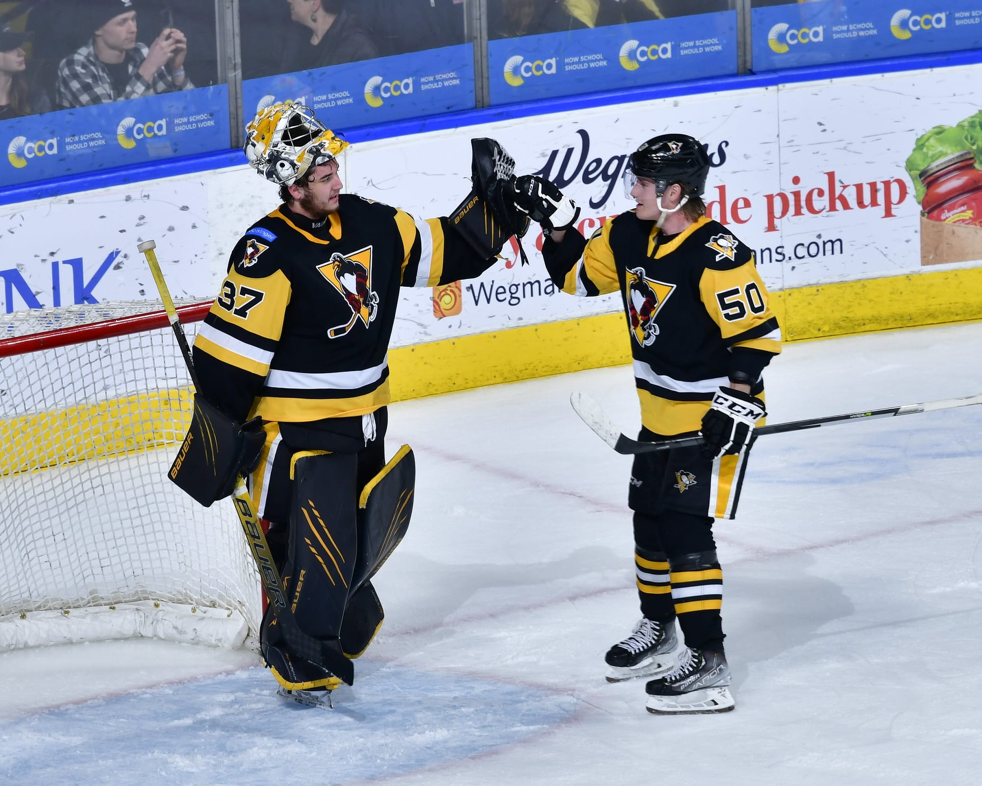 All Eyes On Tommy Nappier As Penguins Battle Bears