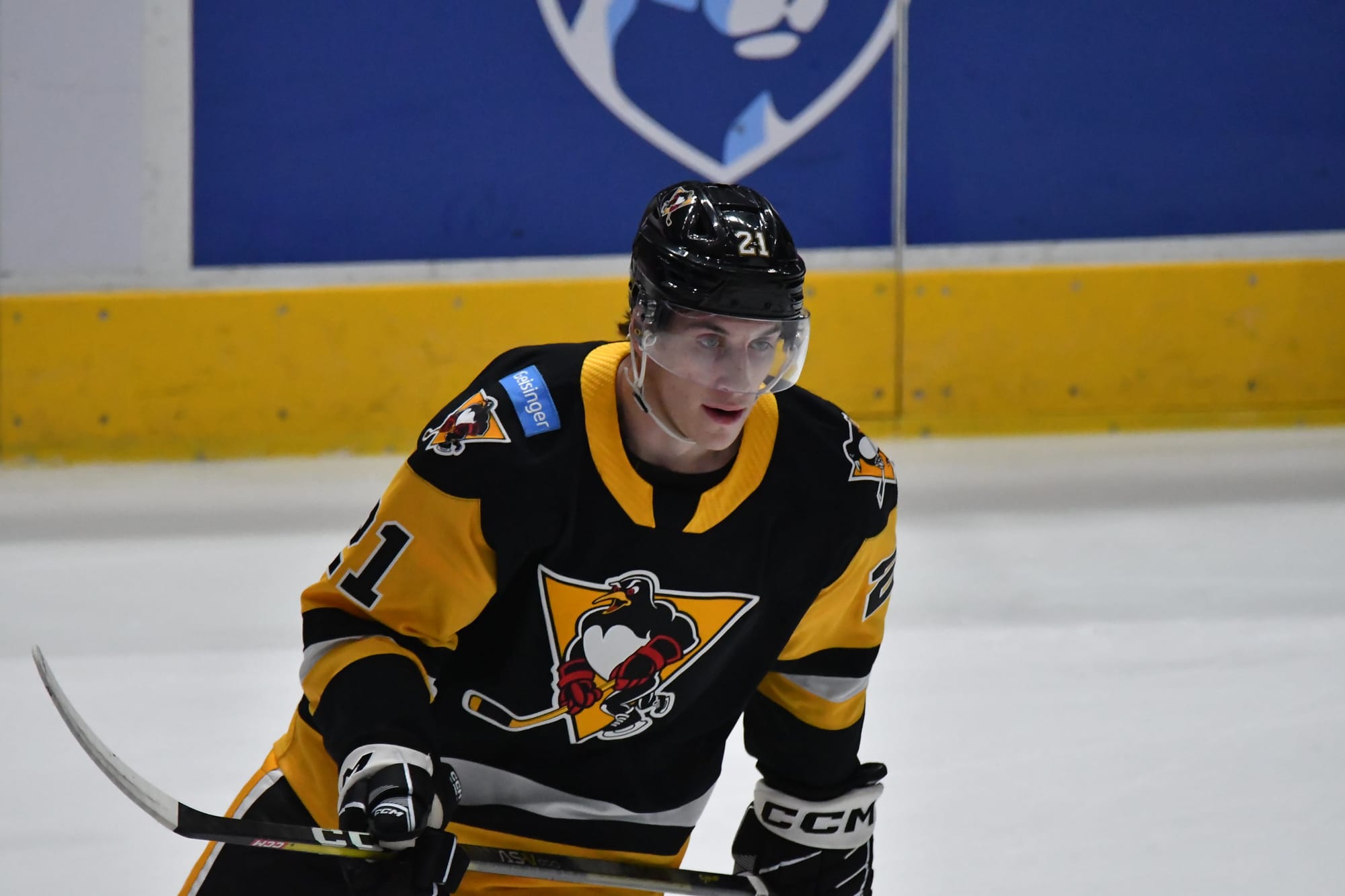 Andonovski's Adjustment To AHL A Smooth Transition