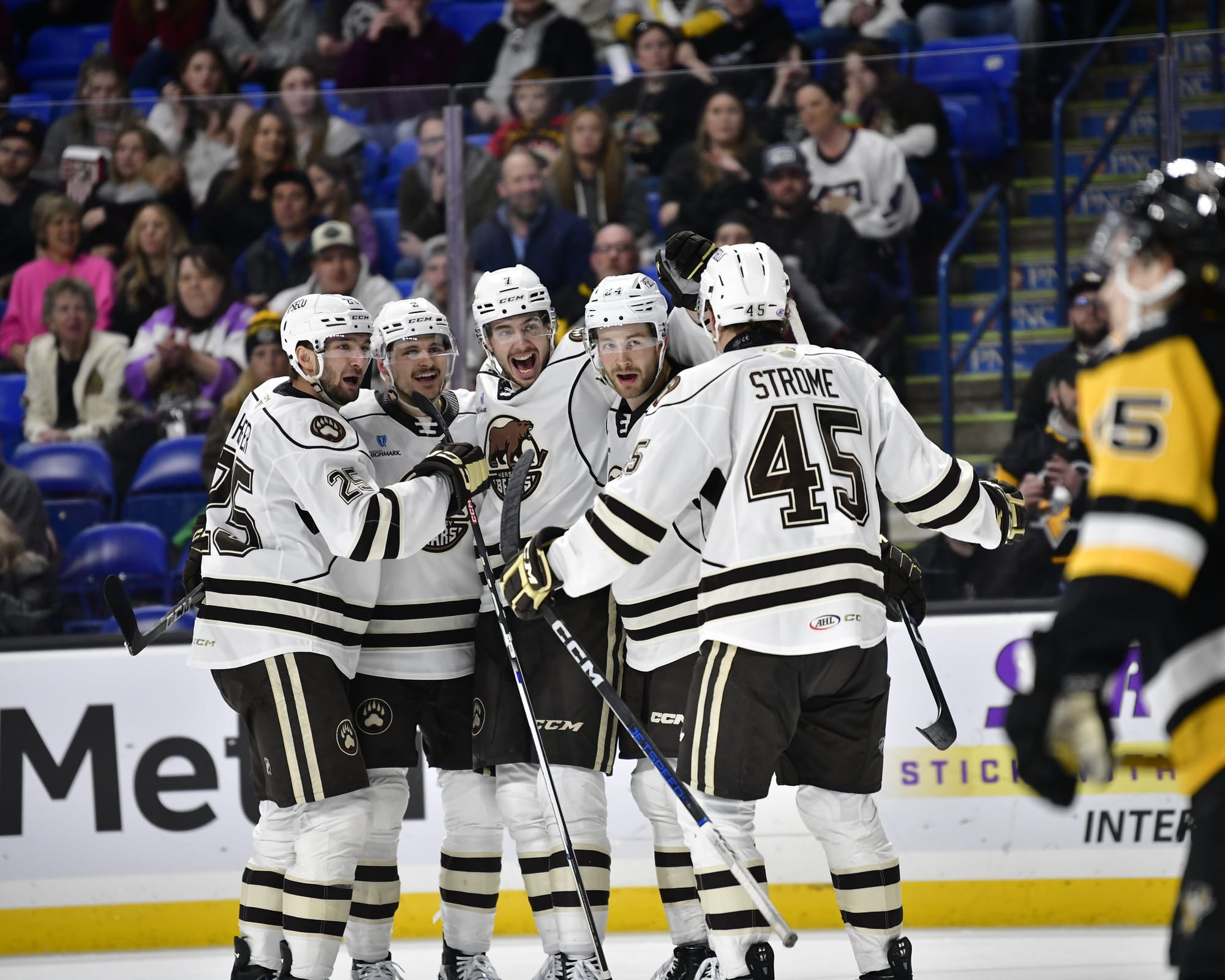 Bears Aim For 'Three-Peat' in 2024-25