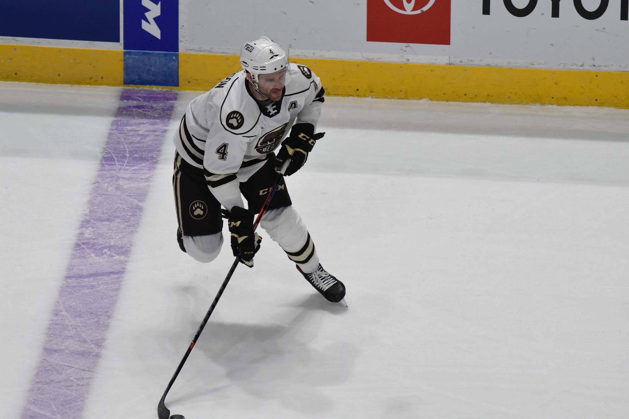 Bears Back And Busy Following Two-Week COVID Hiatus