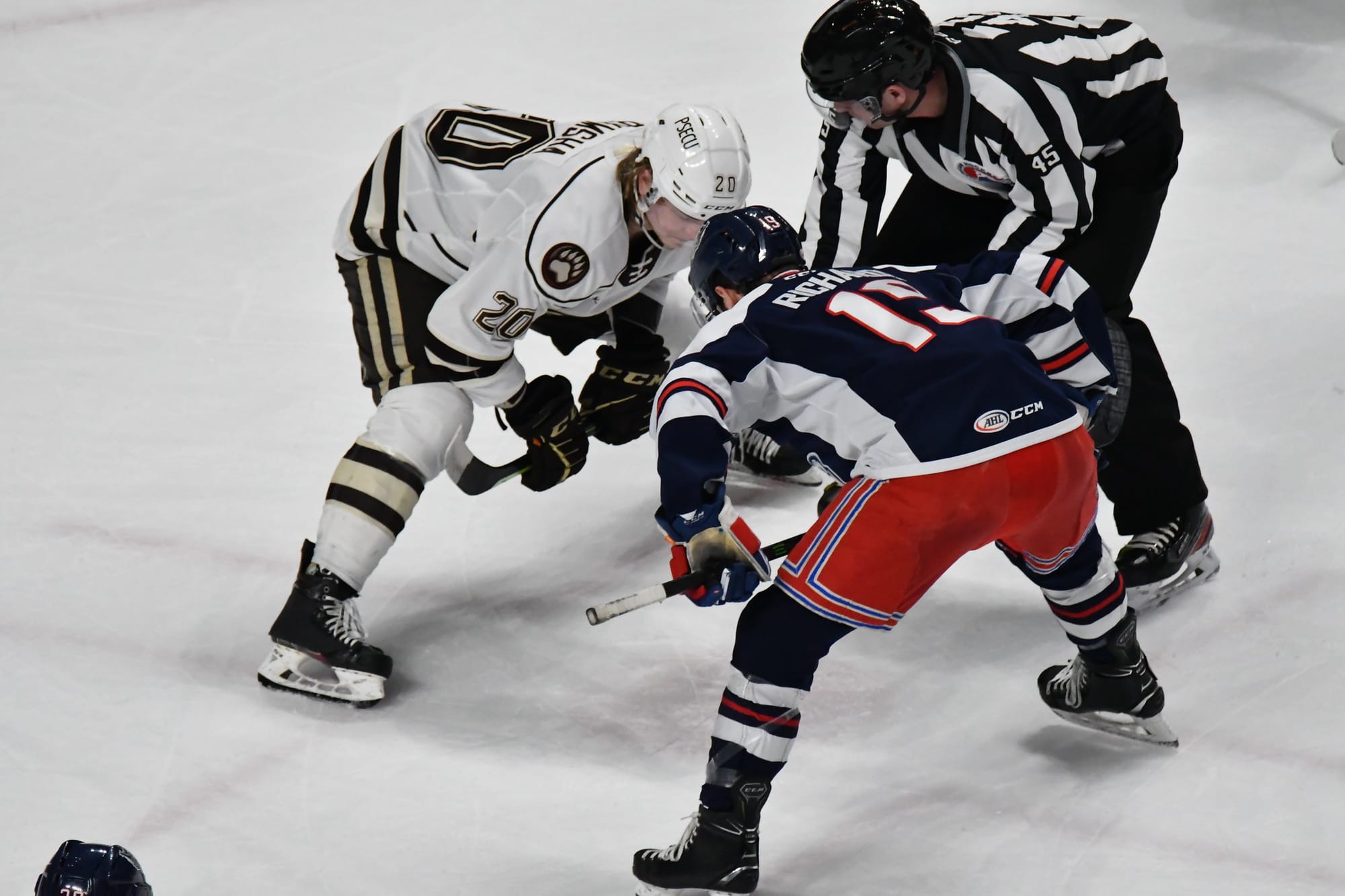 Bears Back In Action Tuesday Night Against Penguins