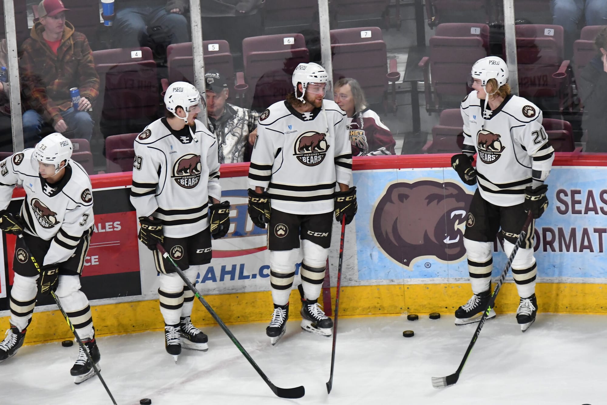 Bears Back To Their Winning Ways