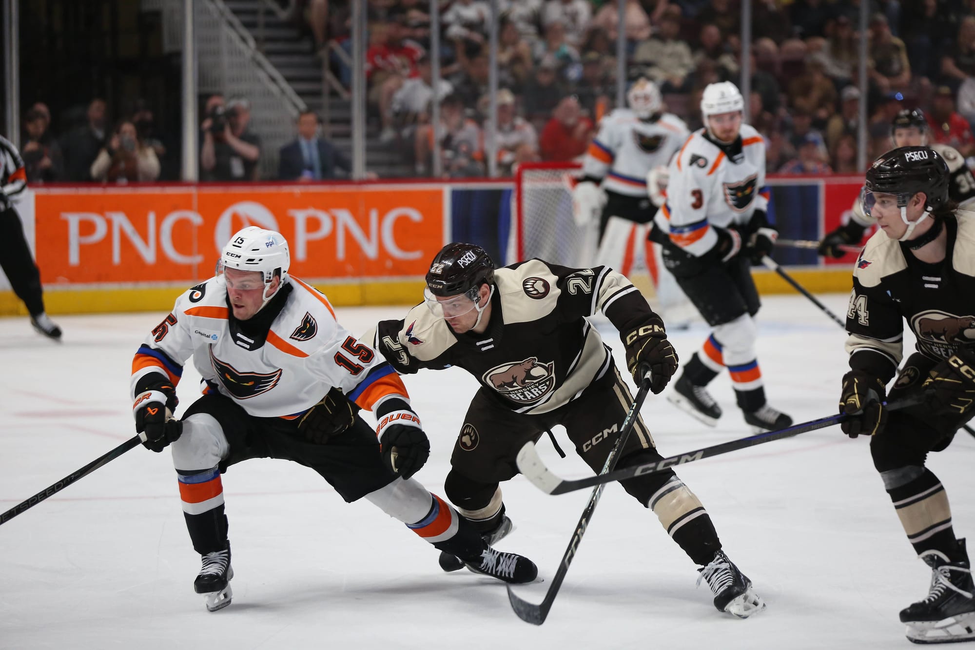 Bears On The Brink: Hershey In Unfamiliar Territory Facing Elimination In Game 4