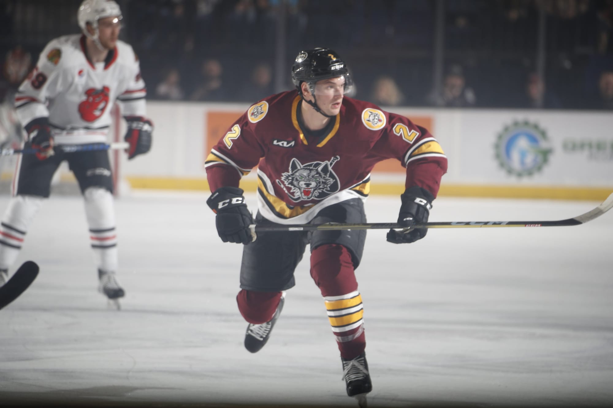 Fensore, Mendel To Join Chicago Wolves