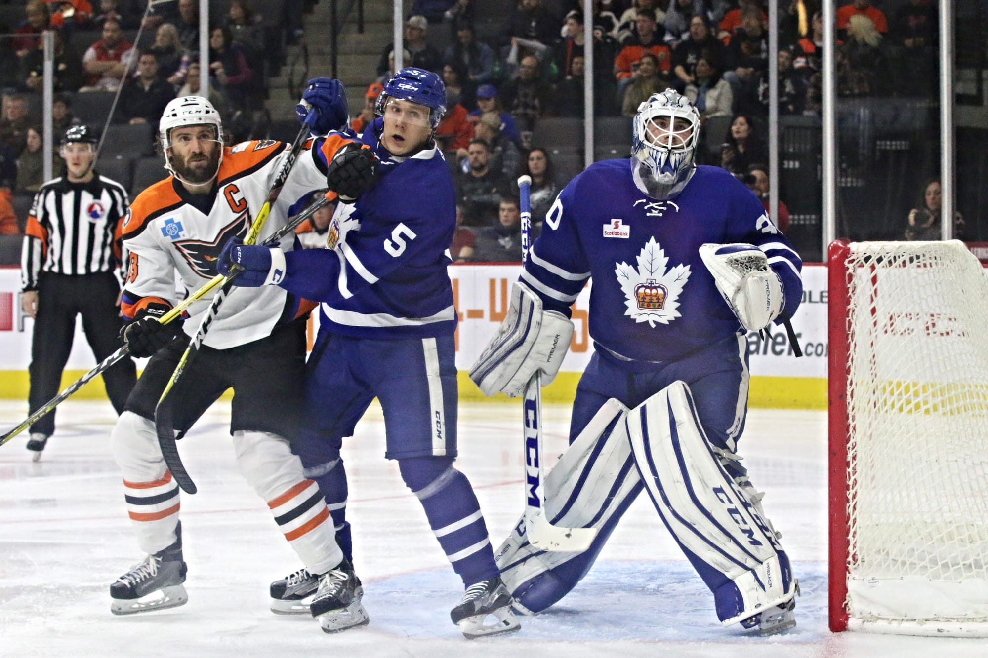 Getting to Know the Toronto Marlies