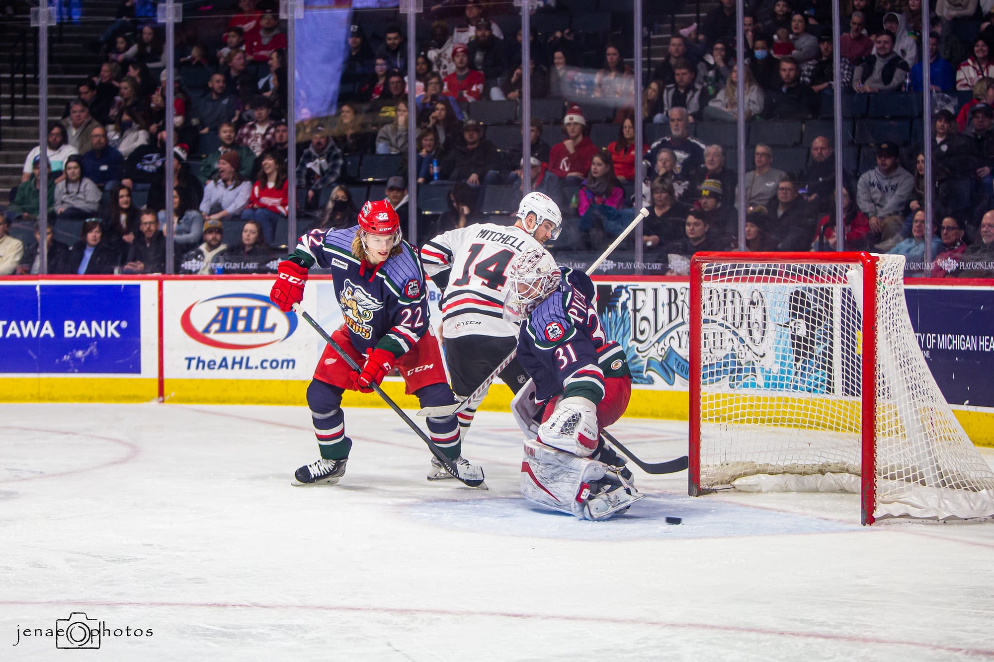 Griffins Down, But Not Out Of AHL's Central Division Playoff Picture