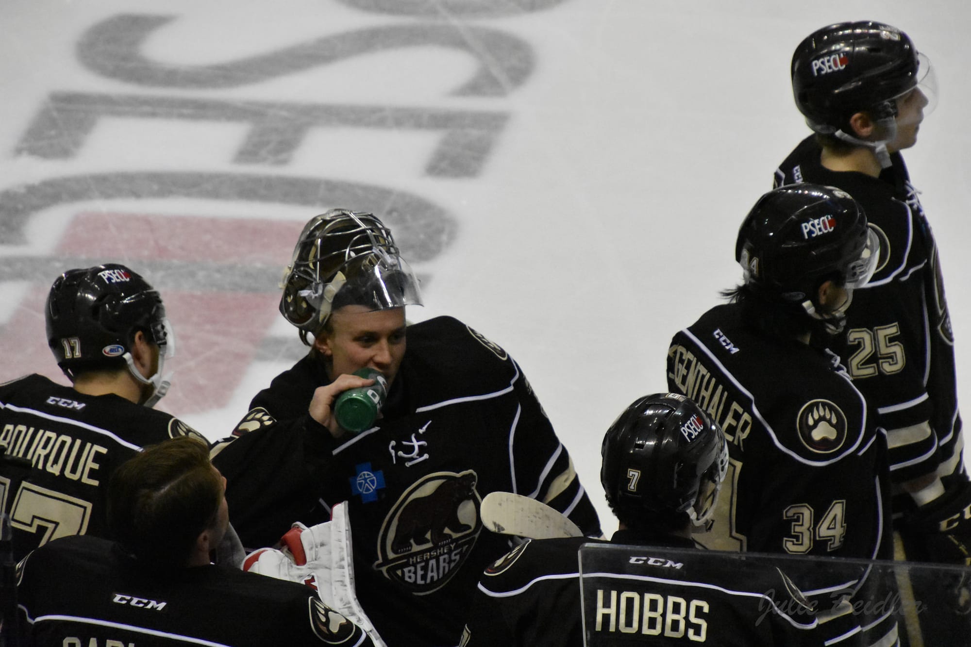 Hershey Bears Team Preview 2018-19
