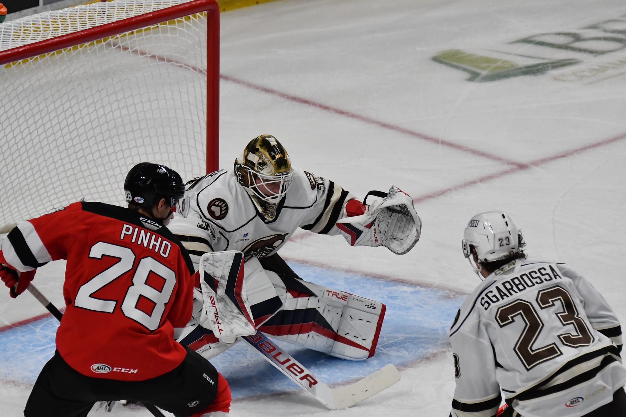 Hershey Bears Weekly Notebook 10/28/22