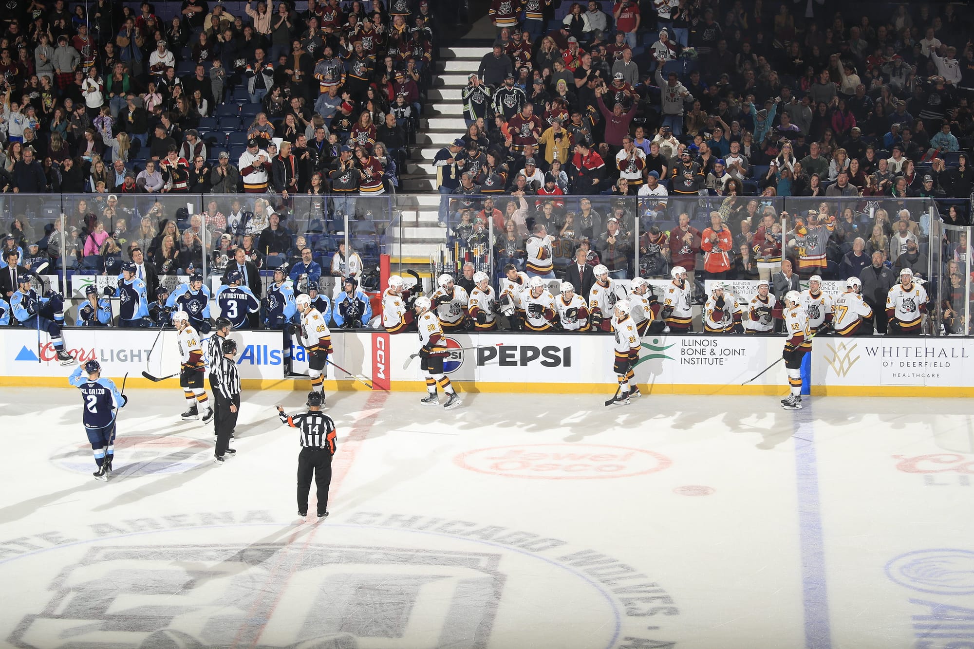 Lone Wolves (Part 2): Building An AHL Roster From Scratch