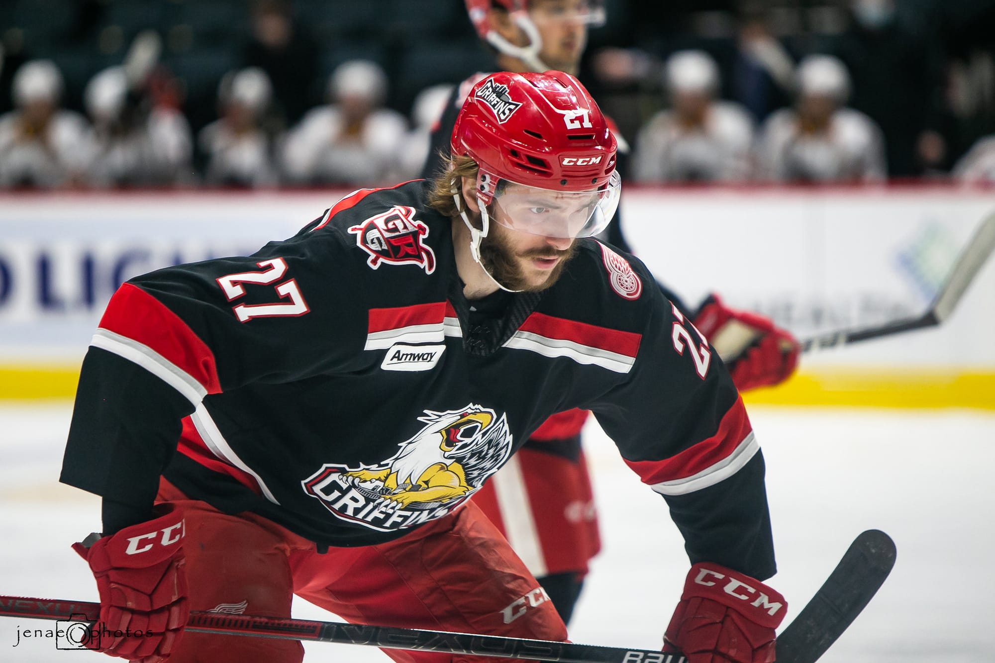 SUNDAY FEATURE: Red Wings' Prospects Rasmussen, Svechnikov On Different Paths To The NHL