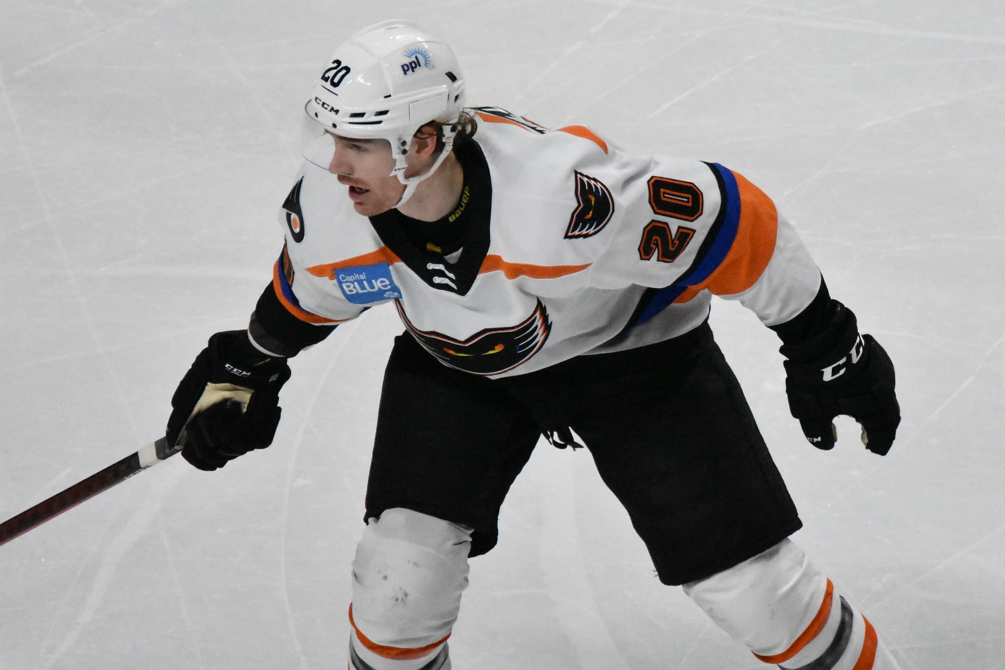 SUNDAY FEATURE: Willman Working Toward Earning First NHL Contract