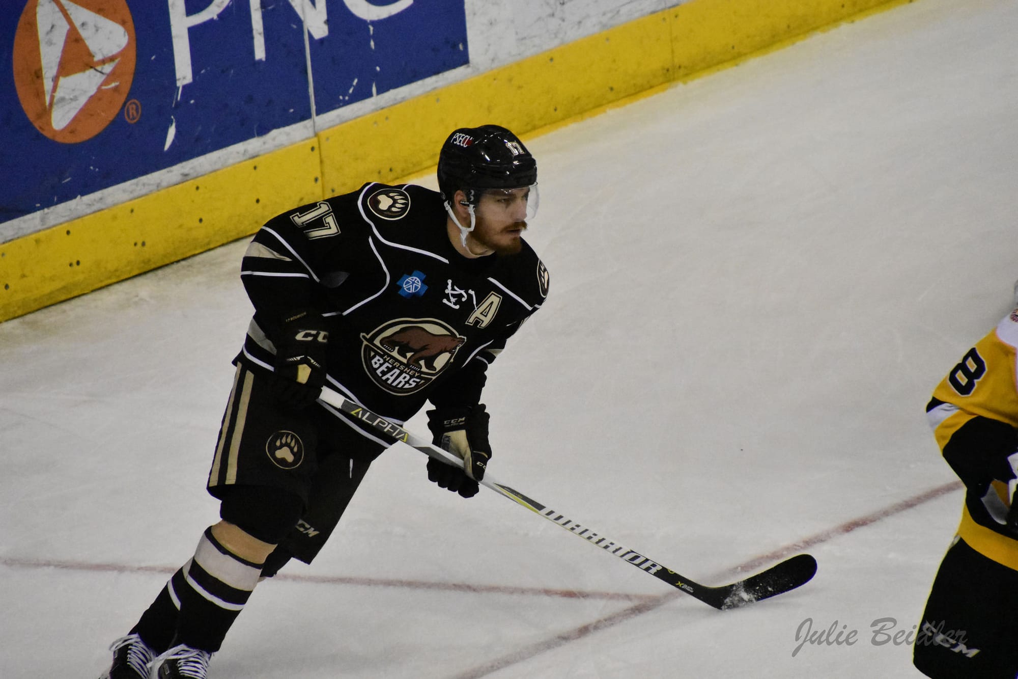 Washington Captials End Of Year Prospect Report - Hershey Bears Grades