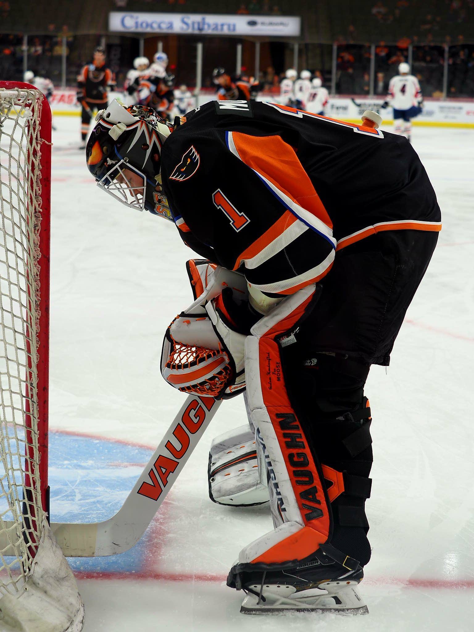 Weekly Wrap-Up - Atlantic Division (Week 24)