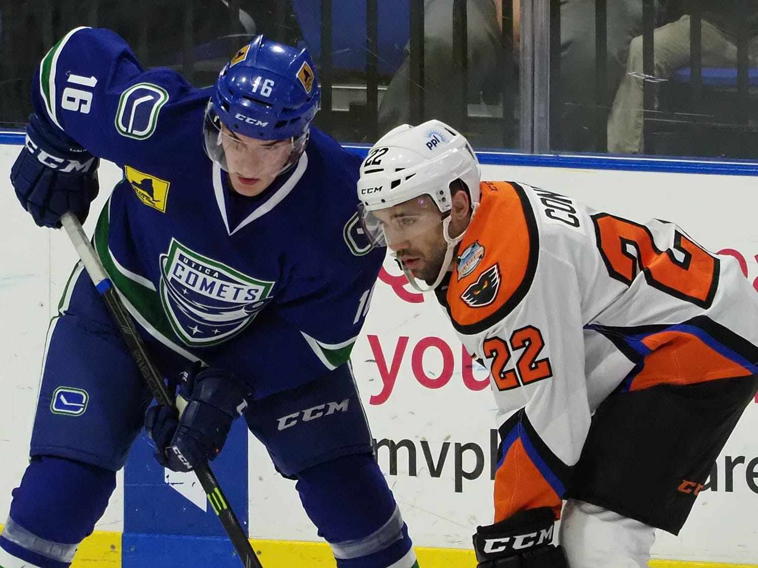 Weekly Wrap-Up - North Division (Week 16)