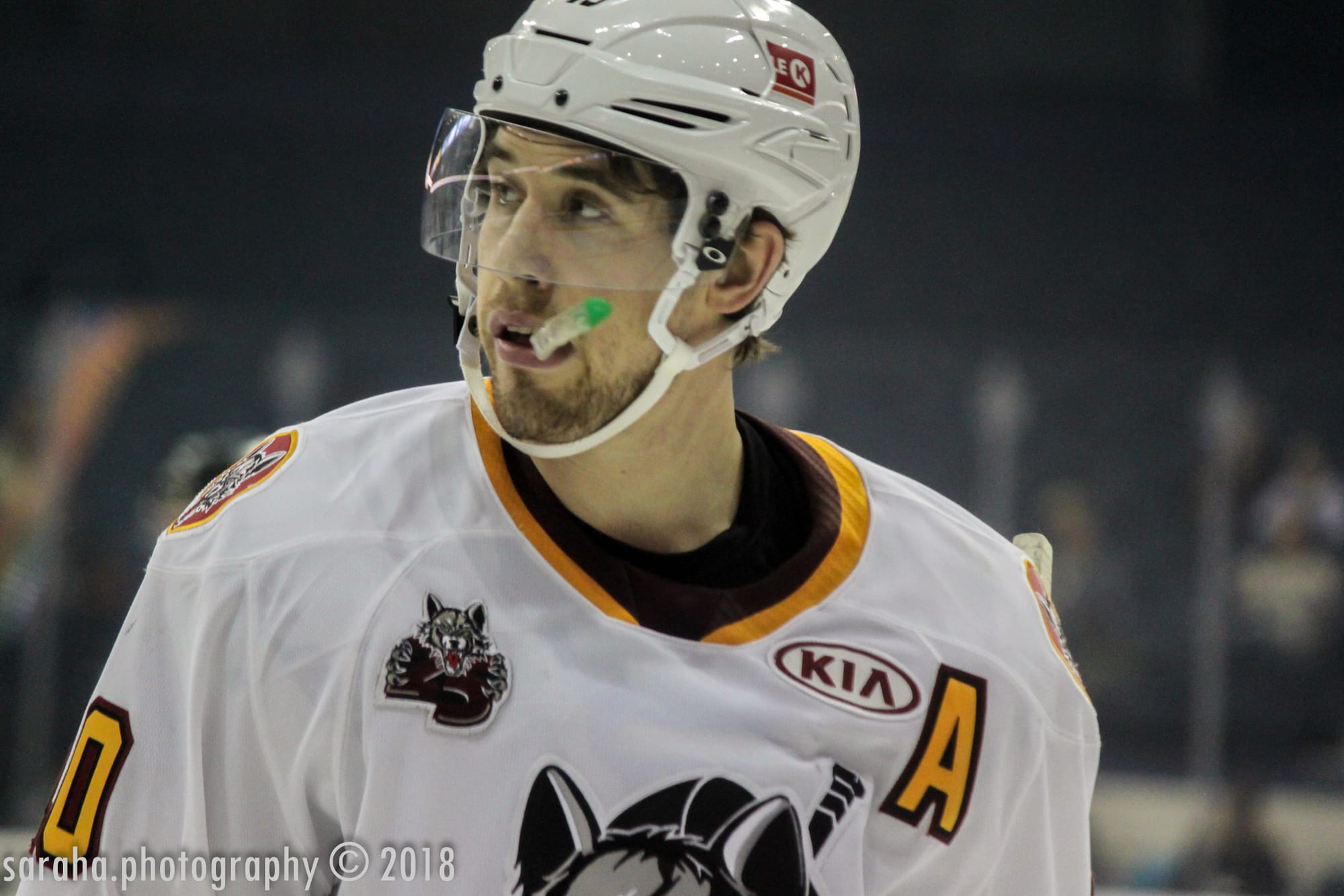 Wolves Young Talent Aided By Experienced Veterans