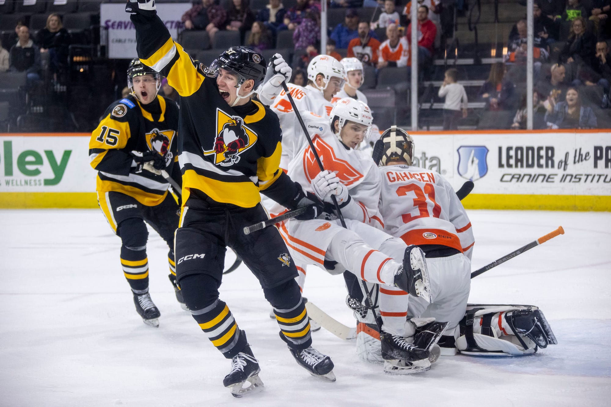 Penguins/Phantoms, Checkers/Wolf Pack Set To Battle In Atlantic Division's Opening Round