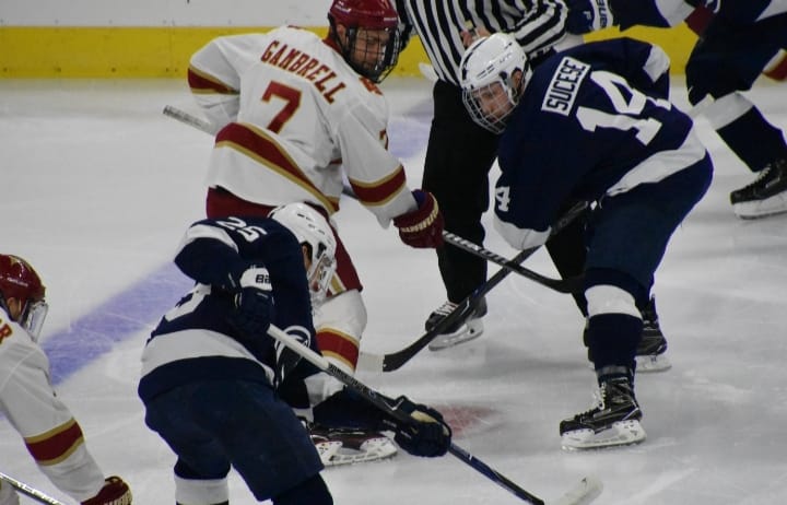 A Look At The Next Crop of NCAA Players Turning Pro For 2020-21 Season