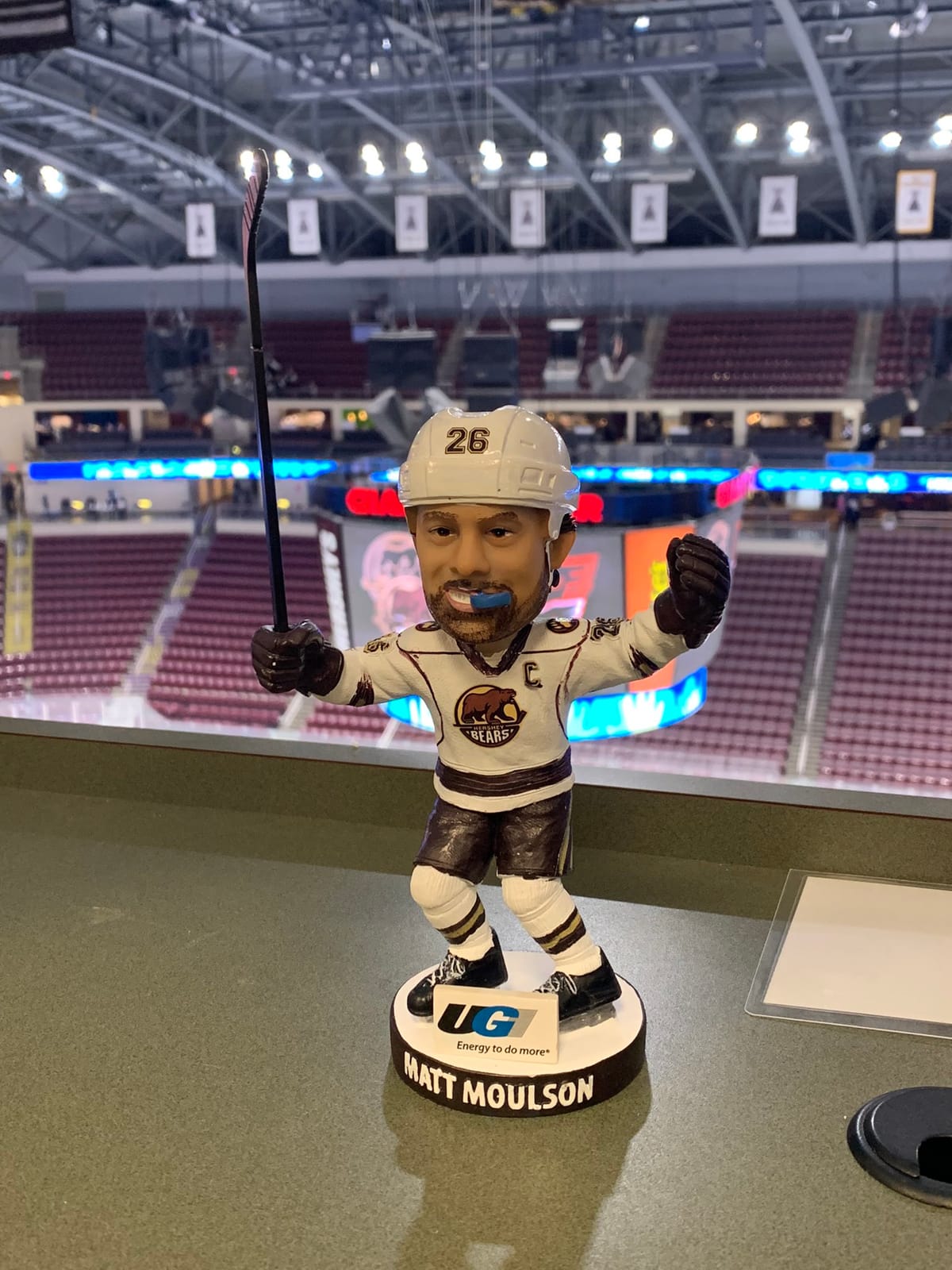 Catching Up With Bears' Captain Matt Moulson