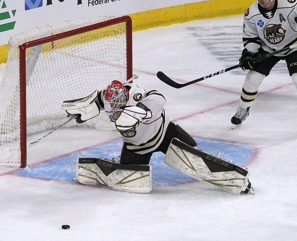 Mid-Season Prospect Update: Hershey Bears (Washington) Part 1 - Goalies/Defense