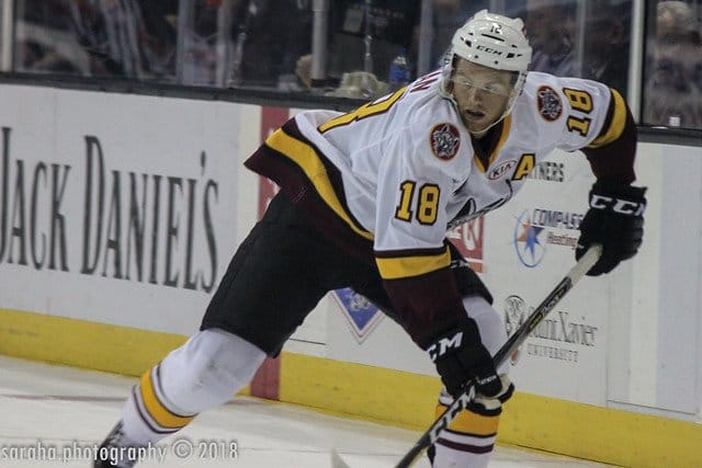 OVERVIEW: 2019 AHL Central Division Semifinals Series - Chicago & Grand Rapids