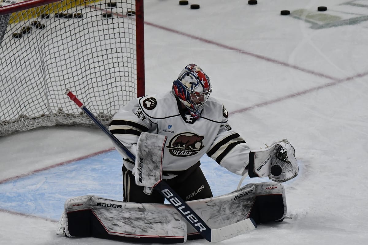Stevenson Adapting To AHL In Hershey